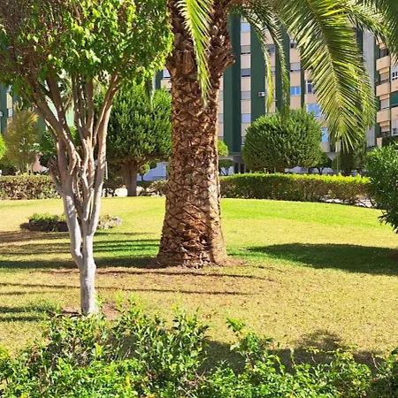 Jenofonte Zj דירה