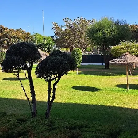 Jenofonte Zj * מאלגה